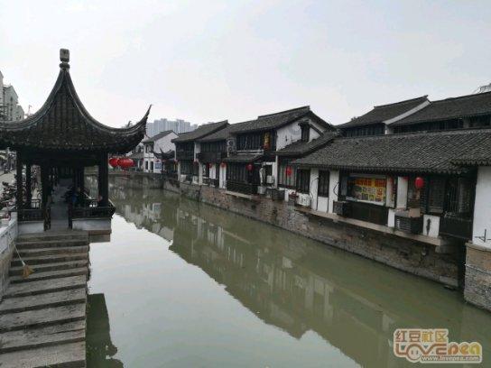 好歌喉唱响金家岭